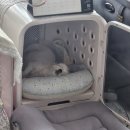 청산공원 이미지