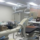 부산야생동물치료센터 이미지