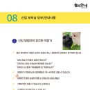 놀러오개 애견유치원 애견호텔 이미지