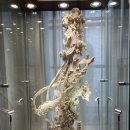 담스빌딩 | [상해외노자체험일기] 4달 후기(7/1~8/8)_2