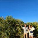 중천농장 이미지