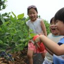 평화농원 이미지