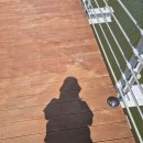 제다원초가집 | 초록초록했던 하동 여행 (1) 🌿