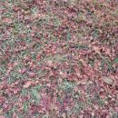 광교역 1번출구 이미지