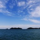 뉴팔레스빌 이미지