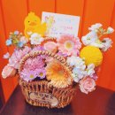 신산초교(병설) 이미지