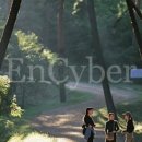 안면도자연휴양림 이미지