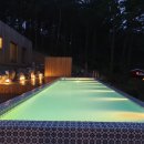 블랙트리하우스 이미지