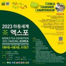 티자인