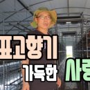 김형표농장 이미지