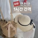 연천교통 | 연천 댑싸리정원 대중교통 가는법| 이산여성산악회 가을 나들이 후기