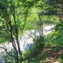 금희농장 이미지