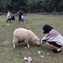 재욱목장 | 춘천 가볼만한 곳은 역시 해피초원 목장이지~~ 7번의 방문후기