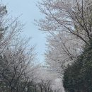 비토어촌체험휴양마을 이미지