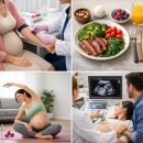 ㈜더방신소재 | [상품리뷰] 수유부철분제 고민 끝 산모철분제 선택 기준부터 프리솔라 실 사용 후기