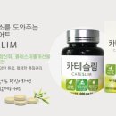 네이처그린 이미지