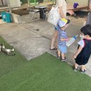 연보람목장 이미지