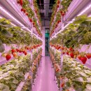 고흥팜2농장 이미지