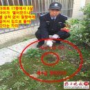 명당은 기적을 낳는다. 명당에너지는 땅에서 솟아 오른다는 증명 이미지
