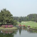 그랜드골프클럽(주) 이미지