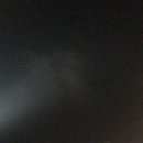 제주 장미여관 이미지