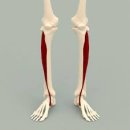 엄지한의원 이미지