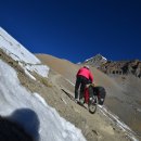 모나트리 이미지