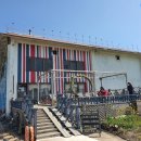 고구마 펙토리스토리 이미지