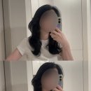 무이 잠실점 | 송파 미용실 무이 잠실점 클리닉 후기, 강하린 디자이너 추천