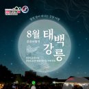 태백이 프레시안