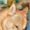 토요일오후 이미지