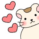 땅끝횟집 이미지