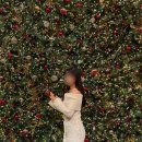 (12/09)크리스마스 미니트리 | 명동 신세계 크리스마스 마켓 원더랜드 위치 트리 포토존 후기