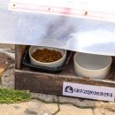 해봄동물병원 이미지