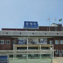[강원도 동해 여행] 6월에 꼭가봐야할 핫플, 보라빛으로 물든 동해 "무릉별 유천지 라벤더 축제" 방문후기