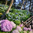 명사해수욕장 주차장 이미지