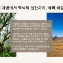 천년 역사 속 옛길 이미지