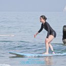 코코넛제주 이미지