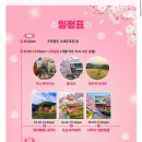 한국사슴백화점 | 오사카 3박 4일 자유여행코스 여행경비 나라 교토 일일투어 꿀팁 등 총정리 🌸