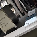 멜로우월드 이미지