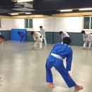 용인대 챔피언 유도관 이미지