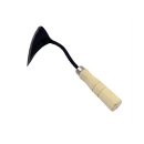 조제농장 이미지