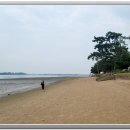 무안 톱머리 해변산책 이미지