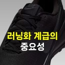 솔다웃