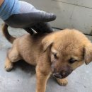 옥호2리마을회관 이미지