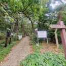 영종동 행정복지센터 | 영종도 백운산 등산 (영종동 행정복지센터➜백운산 정상➜용궁사) 주차, 화장실, 근처 맛집