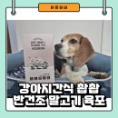 촵촵 | 국산강아지간식 반건조말고기육포 촵촵 급여 후기