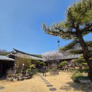 부잣집보쌈 이미지