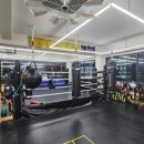 복싱바이러스 동양점 이미지