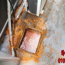 일단지식당 이미지